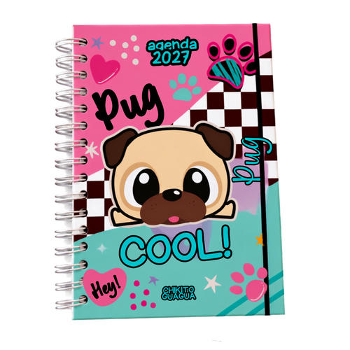 Agenda 2027 Chikito Guagua