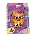 Agenda 2027 Chikito Guagua
